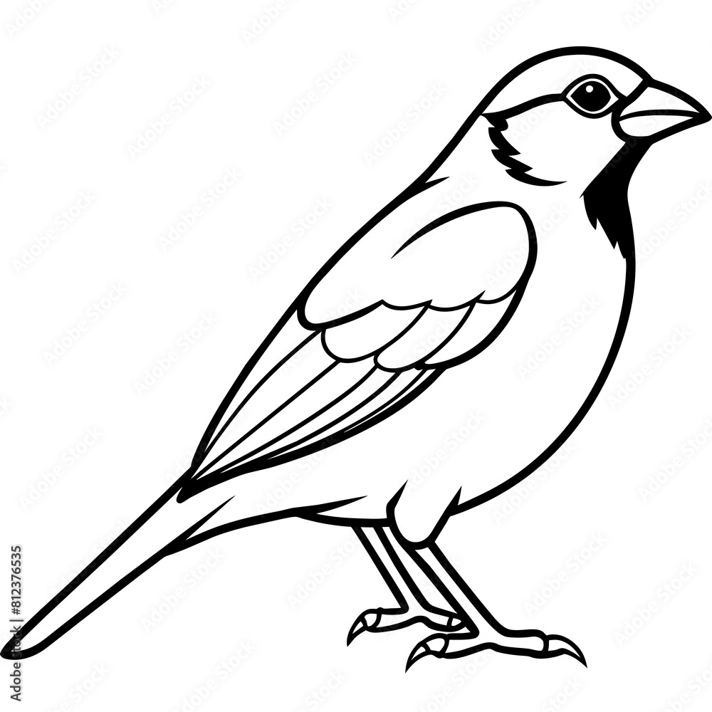 illustration of a bird Sparrow vector silhouette illustration of a bird Sparrow vector silhouette