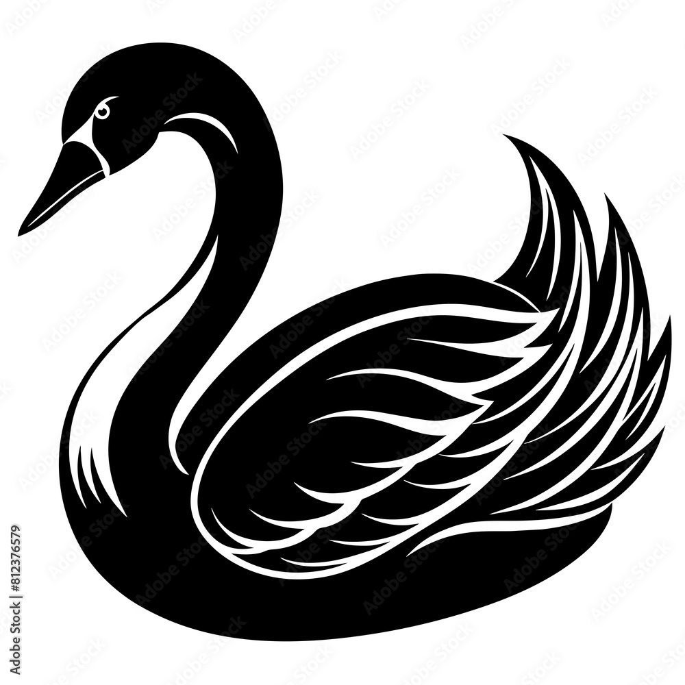 Obraz premium black swan on white background