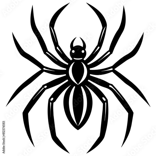 spider isolated on white
