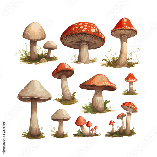 a drawing of mushrooms with a drawing of mushrooms
