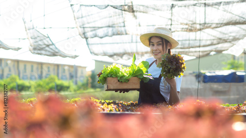 Owner farmer working and care vegetable or nurse growth plants Hydroponic organic in greenhouse.  Asian family women gardener in agriculture industry. Hydroponic agricultural system