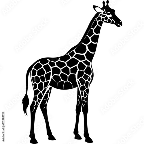 a-giraffe-silhouette