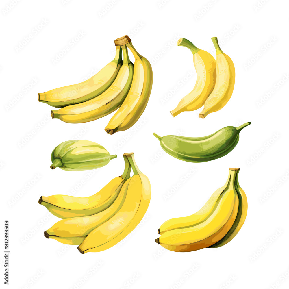 a drawing of bananas with the word quot bananas quot on it