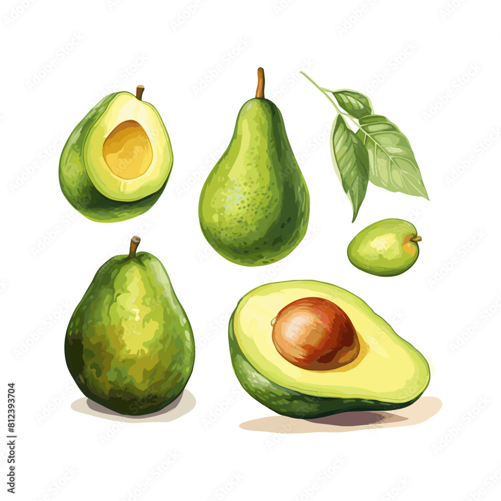 a drawing of avocados and avocados on a white background a drawing of avocados and avocados on a white background