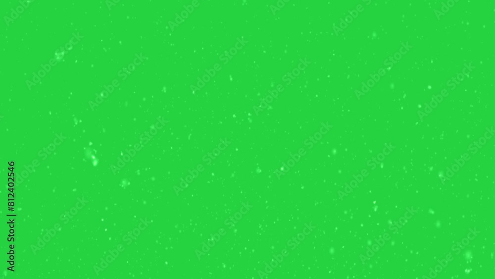 Snow Fall on Green Screen Animation. 