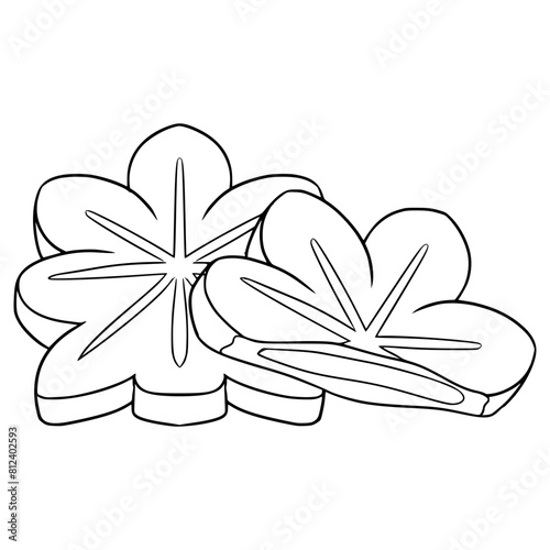 Momiji Manju illustration hand drawn outline vector