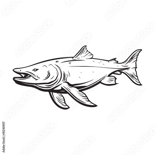 Beluga Sturgeon Stock Illustration isolated on white