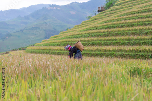 woman Vietnam traditional dress walking in rice field © tonjung