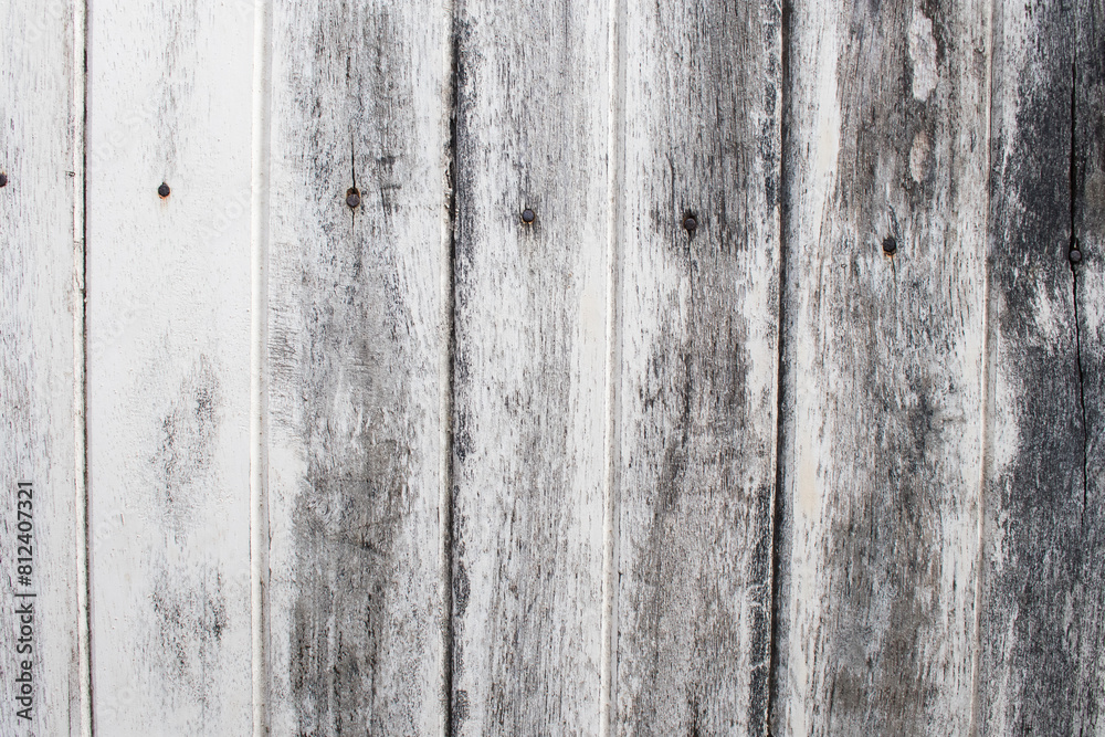 Naklejka premium background texture nature wooden cut hardwood forest