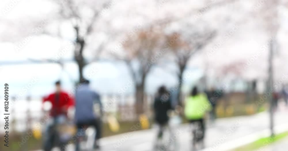 People are riding bicycles on the cherry blossom road People are riding bicycles on the cherry blossom road