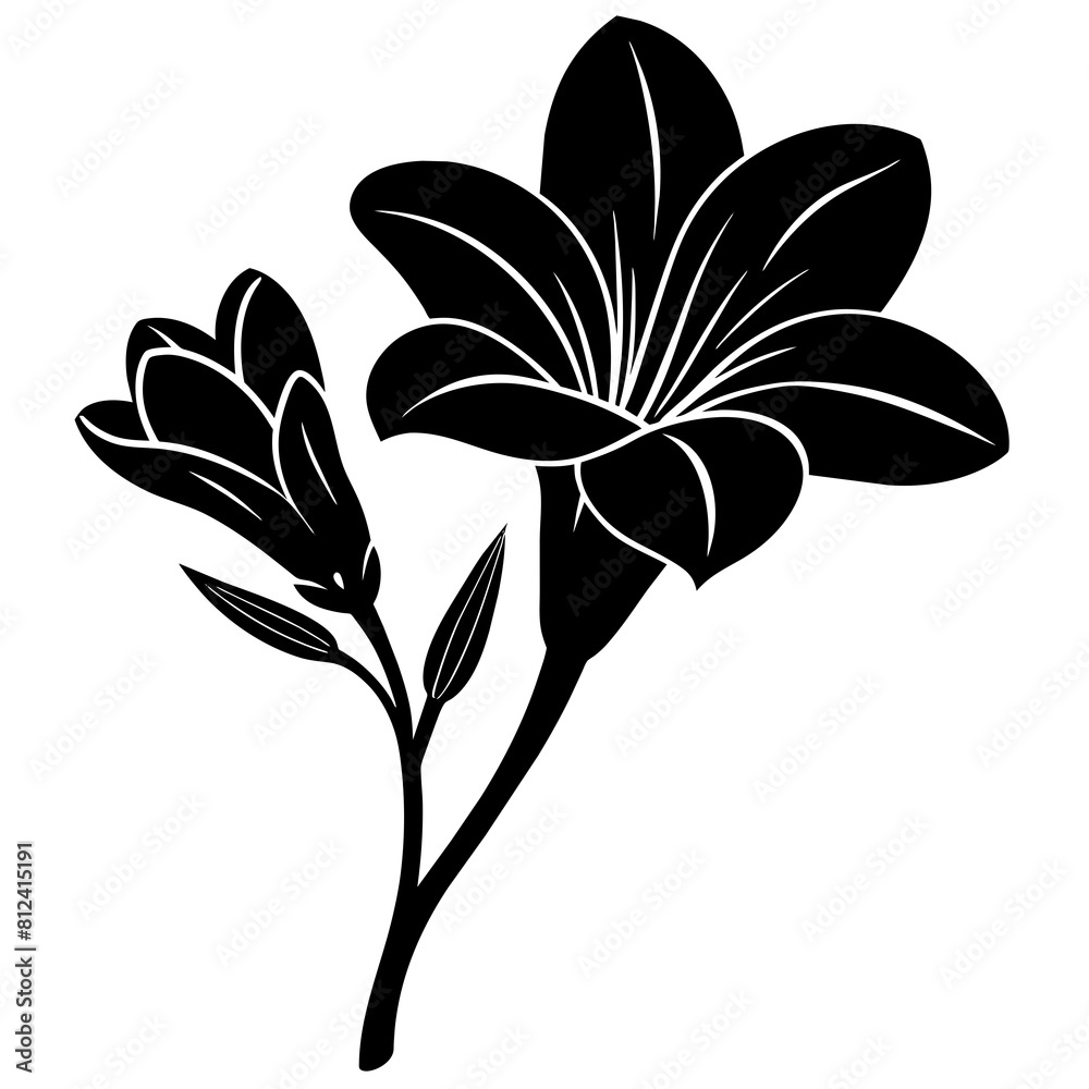black and white flower black and white flower