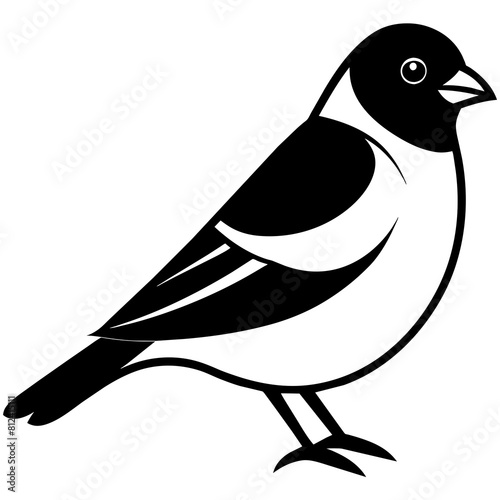 illustration of a bird bullfinch vector silhouette
