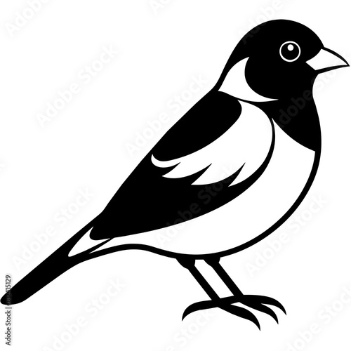 black silhouette of a bird bullfinch vector illustration