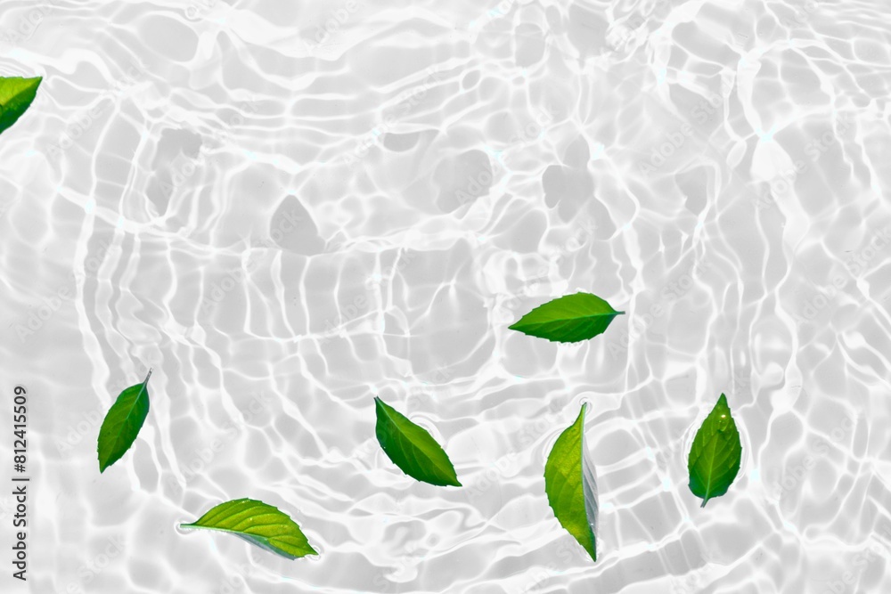Green leaves on white water surface. Clear transparent white water ripple texture background with natural green leaf. Summer creative layout with copy space for cosmetic product presentation Green leaves on white water surface. Clear transparent white water ripple texture background with natural green leaf. Summer creative layout with copy space for cosmetic product presentation