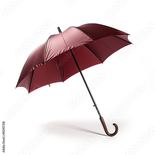 Umbrella maroon