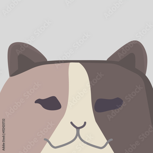 Tricolor Cat with Burnt Sienna, Off-White, and Charcoal Grey Patches. Cat with Burnt Sienna, Off-White, and Charcoal Grey Patches Tricolor