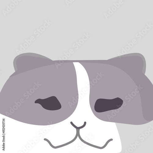 Scary Cat with Dusty Rose and Pure White Patches. Cat with Dusty Rose and Pure White Patches Scary 