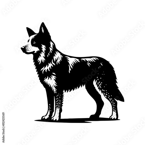 Australian Cattle Dog Silhouette - A Tribute to Rustic Resilience and Canine Wisdom- Vector of Australian Cattle Dog- Minimalist Australian Cattle Dog- Australian Cattle Dog Illustration.