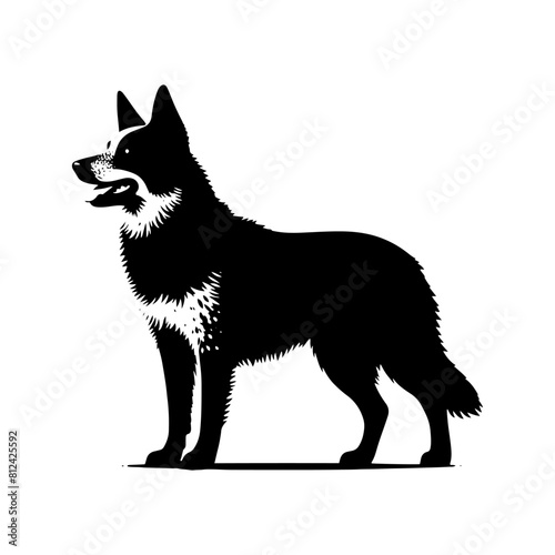 Australian Cattle Dog Silhouette - A Tribute to Rustic Resilience and Canine Wisdom- Vector of Australian Cattle Dog- Minimalist Australian Cattle Dog- Australian Cattle Dog Illustration.