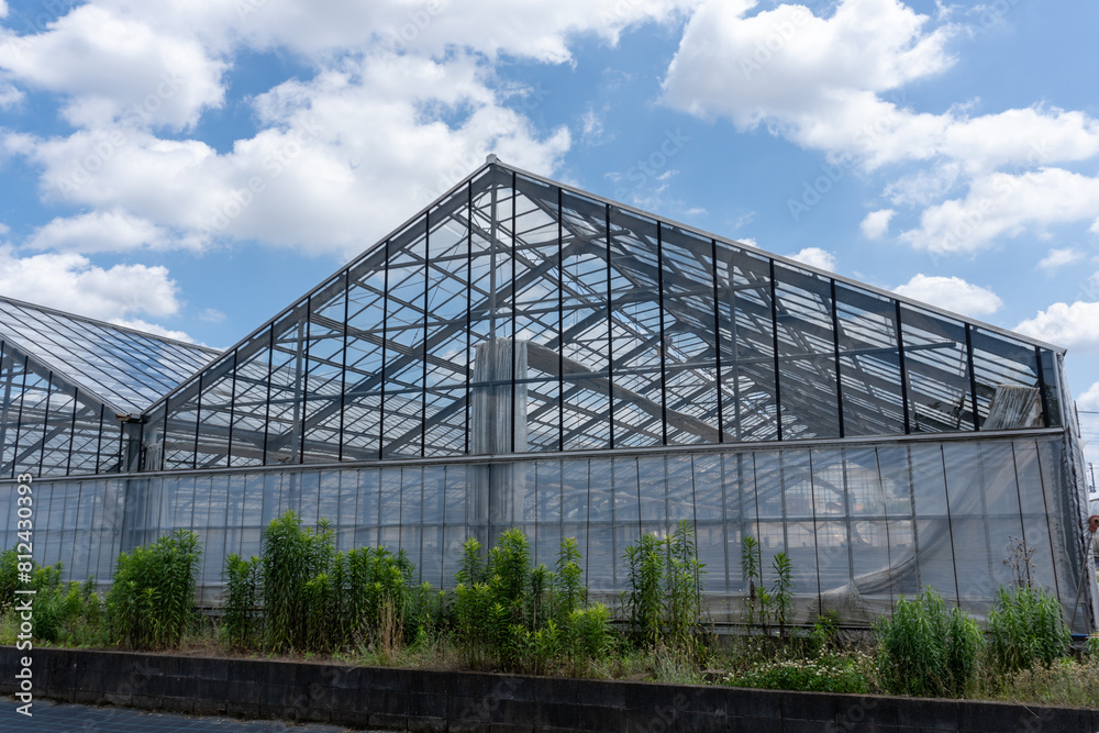 Plastic greenhouses and fields in Japan Plastic greenhouses and fields in Japan