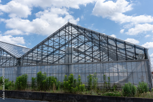 Plastic greenhouses and fields in Japan