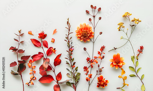 Autumn composition made of beautiful flowers on light Beautiful Floral Arrangement 
