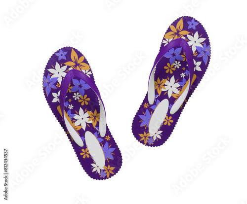 eva flip-flop or slippers isolated