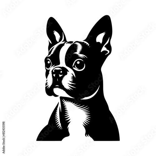  Minimalist Boston Terrier Silhouette-
Elegant Lines Capturing the Essence- Boston Terrier Illustration- Boston Terrier Vector.