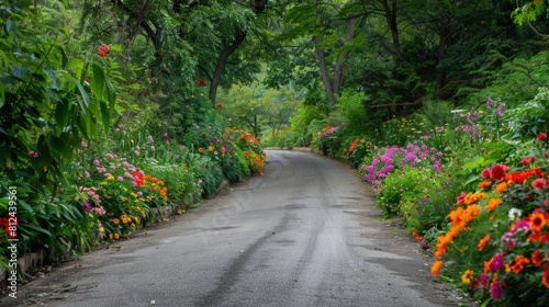 andscaped road where carefully selected flowers enhance the beauty of the surrounding scenery, creating a visual masterpiece photo