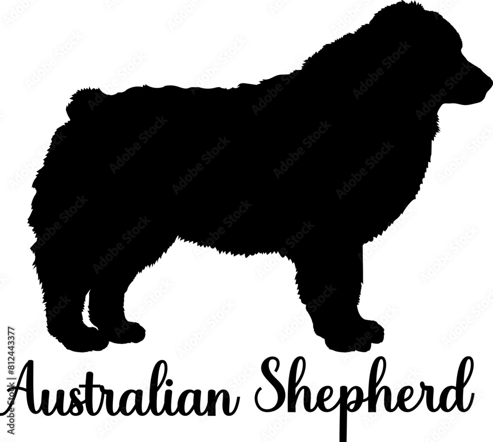 Australian Shepherd Dog silhouette dog breeds logo dog monogram vector Australian Shepherd Dog silhouette dog breeds logo dog monogram vector