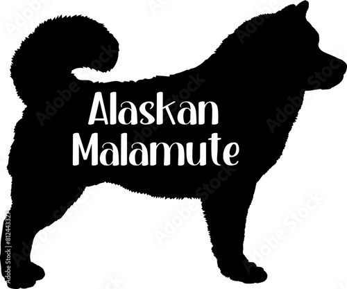 Wallpaper Mural  Alaskan Malamute Dog silhouette dog breeds logo dog monogram vector Torontodigital.ca