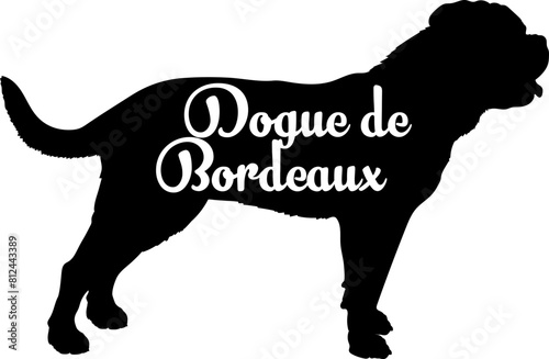 Dogue de Bordeaux Dog silhouette dog breeds logo dog monogram vector