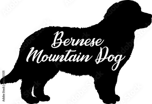 Bernese Mountain  Dog silhouette dog breeds logo dog monogram vector