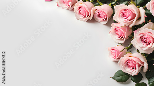 Pink Roses Blossom in corner on Blank White Empty Background Copy Space, Generative AI illustration