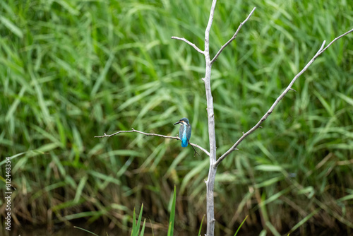 Iina Park Kawaguchi, Akayama Historical Nature Park photo