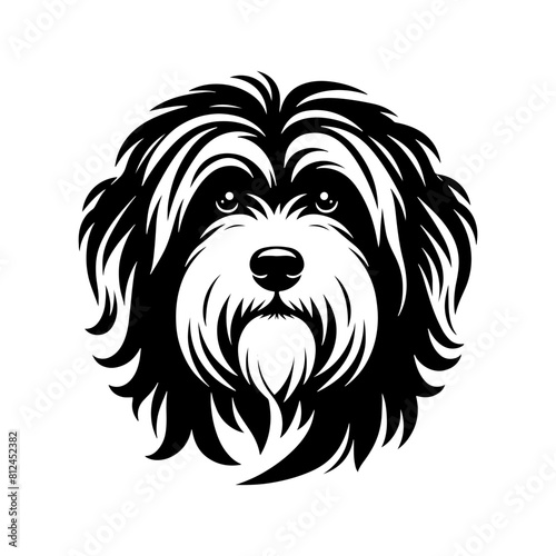 HAVANESE Dog Vector Silhouette- HAVANESE Dog Illustration- Minimalist HAVANESE Dog Vector Silhouette
