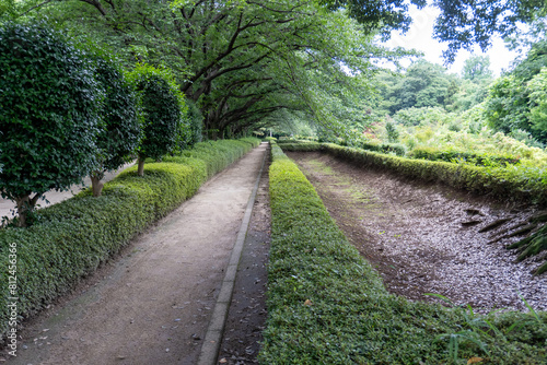 Around Akayama Castle (Akayama Historical Nature Park) photo