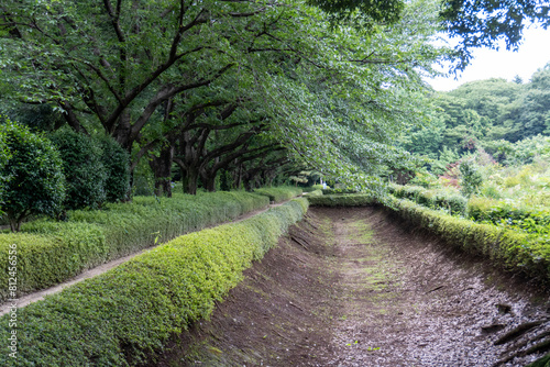 Around Akayama Castle (Akayama Historical Nature Park) photo