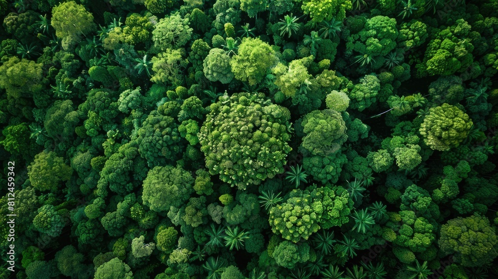 An aerial perspective reveals a lush forest of trees shaped like a globe specifically highlighting the Asia Pacific region This stunning view encapsulates vital themes of environmental awar An aerial perspective reveals a lush forest of trees shaped like a globe specifically highlighting the Asia Pacific region This stunning view encapsulates vital themes of environmental awar