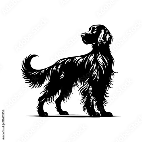 Irish Setter Dog Silhouette - Elegance and Strength Captured in Minimalist Form- Minimalist Irish Setter Dog Vector- Irish Setter Dog Illustration.