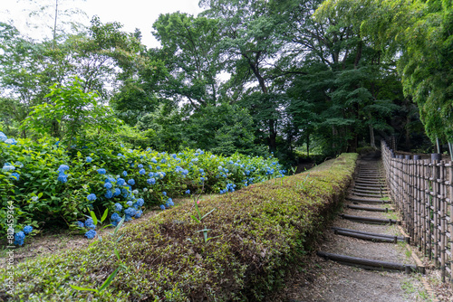 Around Akayama Castle  Akayama Historical Nature Park 