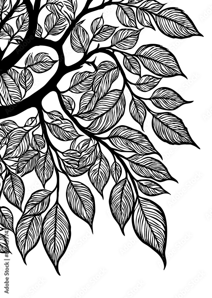 Tree . Black and white botanical pattern. For use in graphics ...