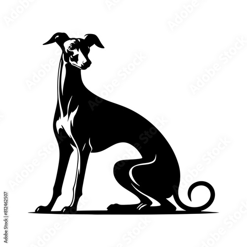 Italian Greyhound Silhouette - Graceful Lines Capture the Beauty and Speed of this Elegant Breed- Italian Grey Hound Illustration- minimalist Italian grey hound vector.