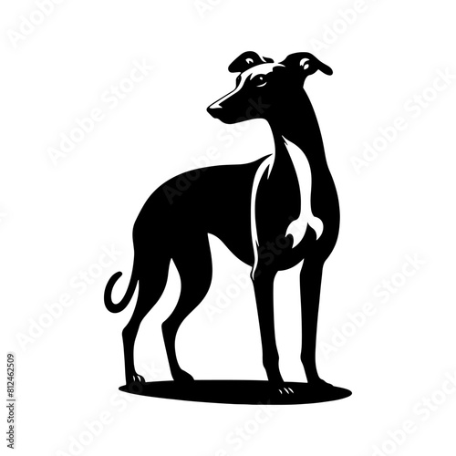 Italian Greyhound Silhouette - Graceful Lines Capture the Beauty and Speed of this Elegant Breed- Italian Grey Hound Illustration- minimalist Italian grey hound vector.