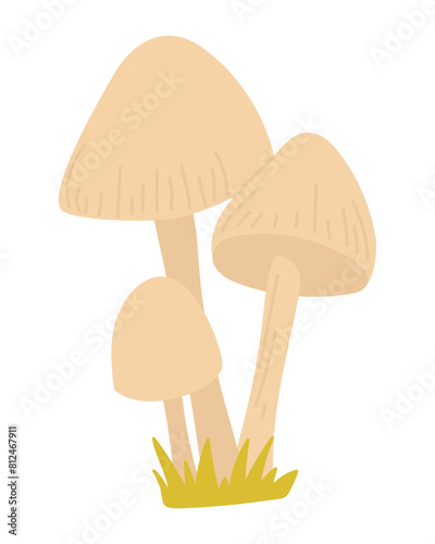 Forest mushroom in flat design. Autumn wild fungus or white toadstools. Vector illustration isolated.