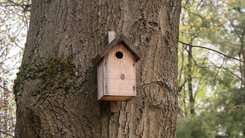 A birdhouse is attached to a tree trunk A birdhouse is attached to a tree trunk