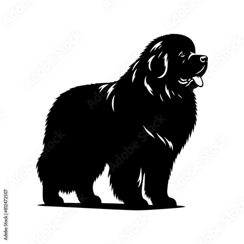 Newfoundland Dog Vector Silhouette - Capturing the Majestic Presence and Endearing Nature of this Beloved Large Breed- Newfoundland Illustration.