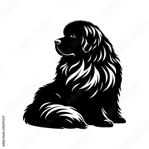 Newfoundland Dog Vector Silhouette - Capturing the Majestic Presence and Endearing Nature of this Beloved Large Breed- Newfoundland Illustration.