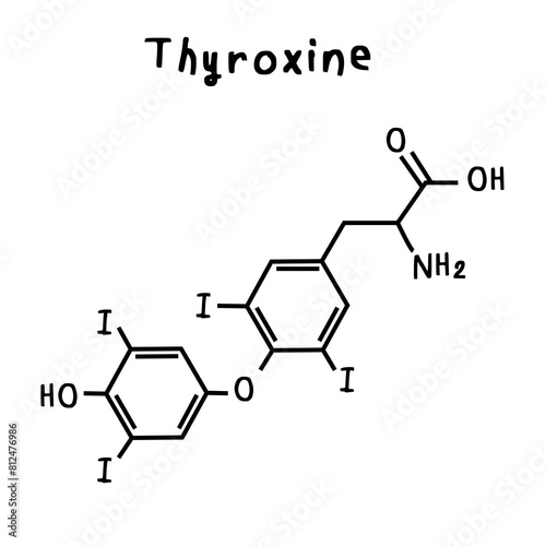 thyroxine illustration photo