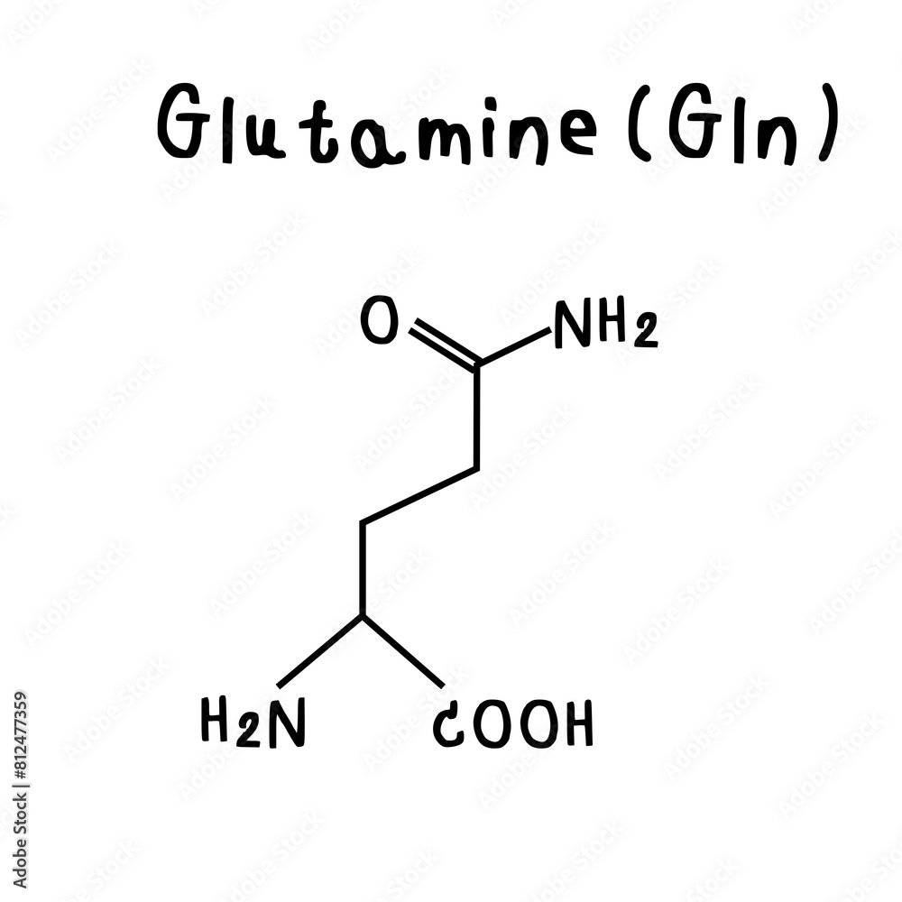 glutamine chemical structure illustration glutamine chemical structure illustration